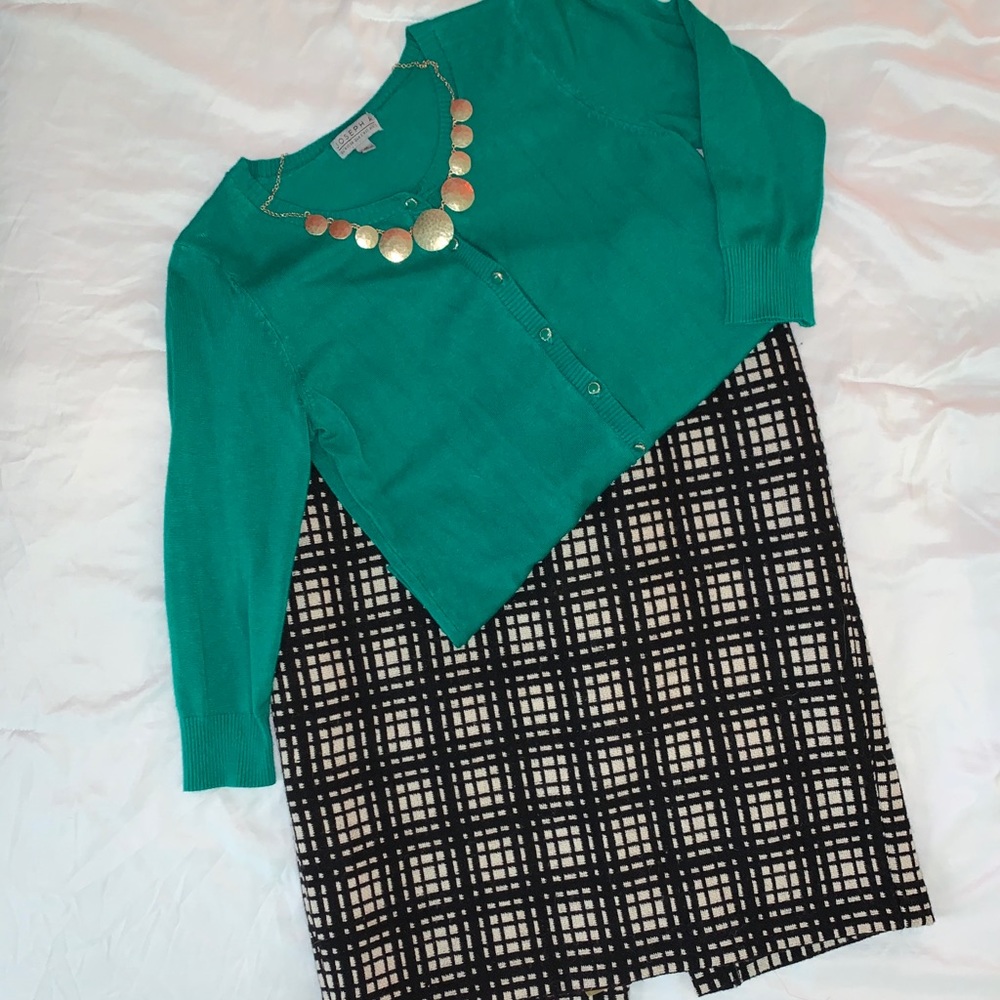 Dalia Collection Wool blend pencil skirt SZ 10